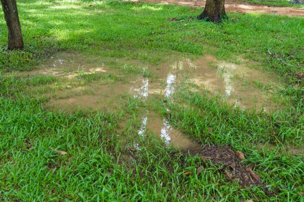 Cost of Storm Water Drainage Service in Novato