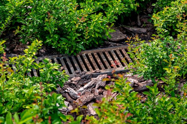 Cost of Underground Drainage Service in Novato