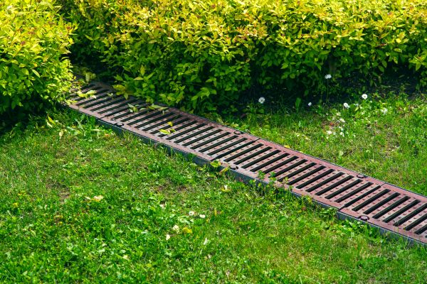 Cost of Lawn Drainage in Novato