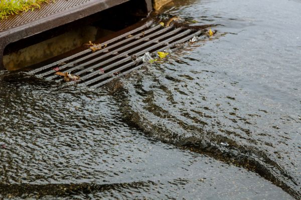 Cost of Storm Drainage Service in Novato