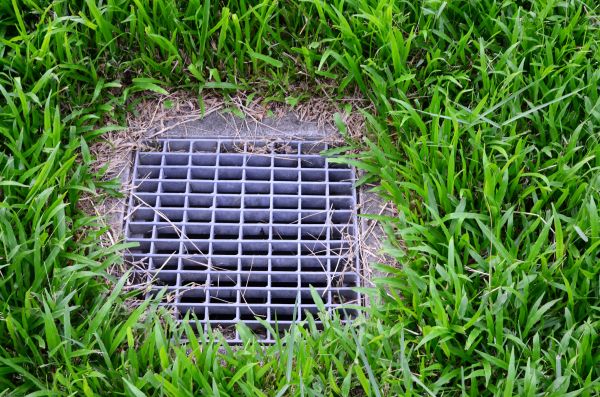 Cost of Yard Drainage Service in Novato