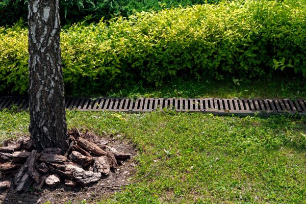 Cost of Yard Water Redirection in Novato