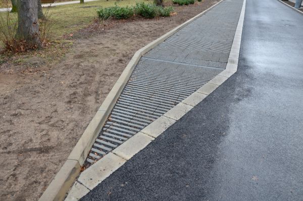 Cost of Muddy Yard Drainage in Novato