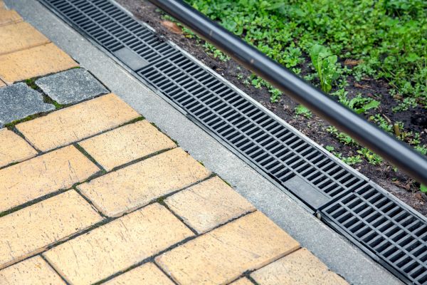 Cost of Waterlogged Yard Repair in Novato