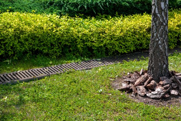 Cost of Residential Landscape Drainage in Novato