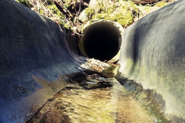 Drainage Swale Installation in Novato