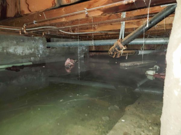 Cost of Crawlspace Drainage in Novato