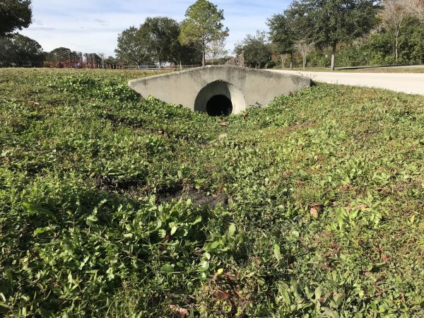 Cost of Swale Drainage Service in Novato