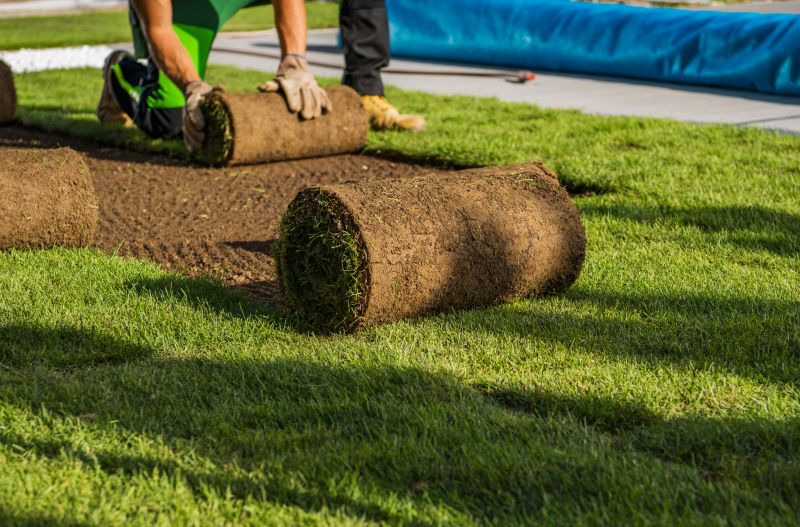 Lawn Resloping Preparation